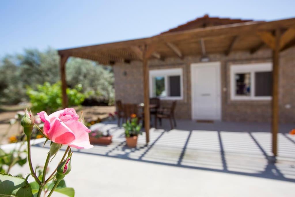 Serenity Studio Beach Home Afantou Exteriér fotografie